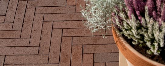 Privat courtyard in Klaipeda district Single Family House, Pavers, STT Terrakota 250*60*52