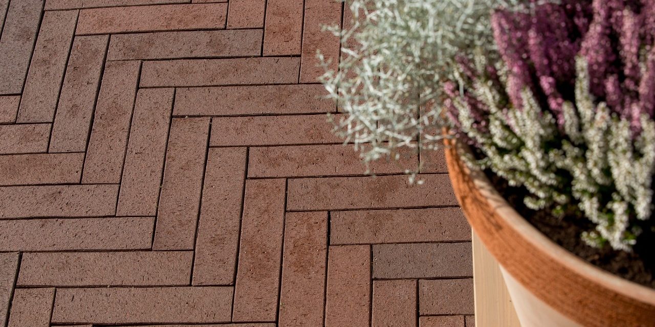 Privat courtyard in Klaipeda district Single Family House, Pavers, STT Terrakota 250*60*52