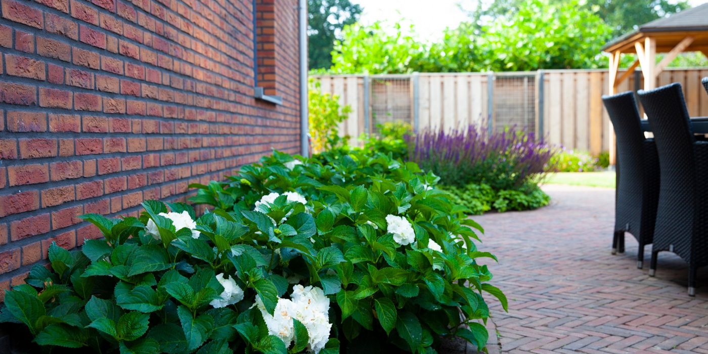 New construction garden, Private garden, Oosterhout, Breda. Decorative garden pavers: UWF65 Novoton getrommeld via Tegelhandel Boer: Gebakken Oud-Lekkerland (Novoton). Authentic baked pavers. Garden designer: Sander Braat.