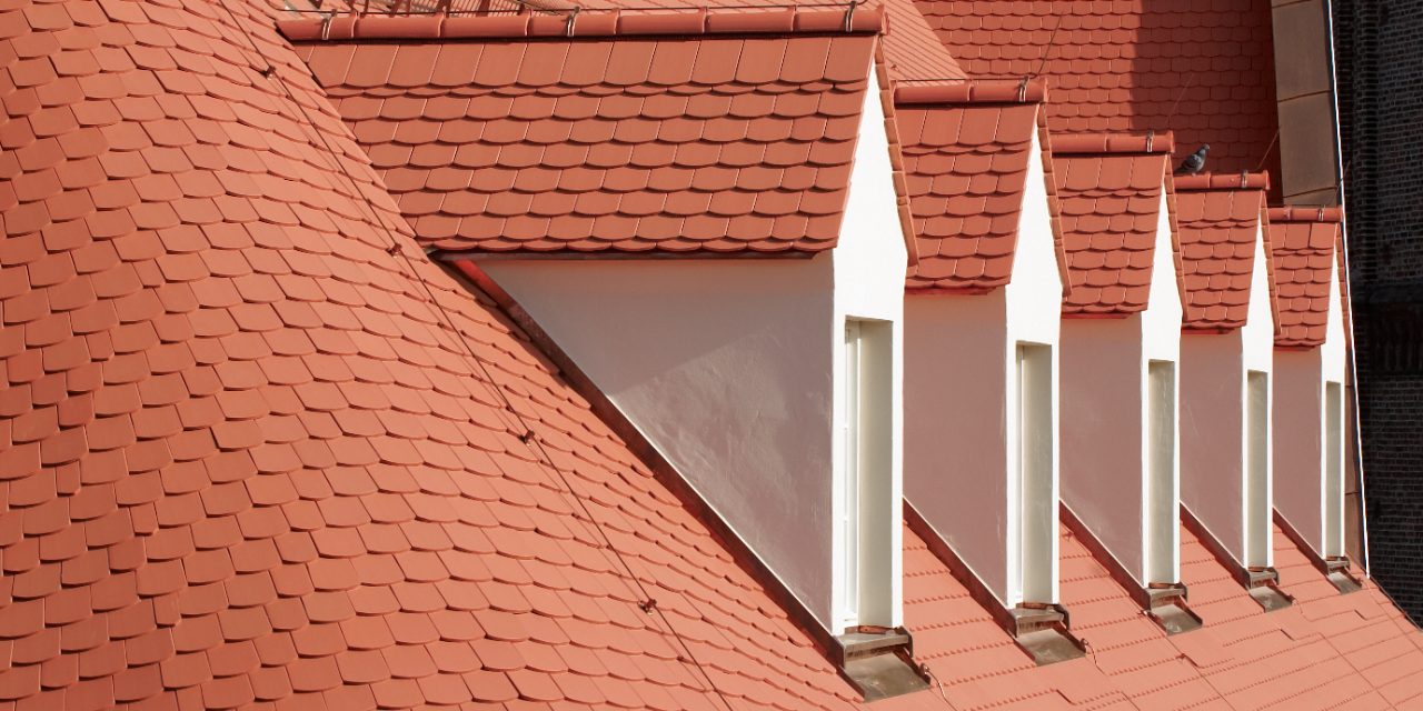 close up Bunzlauer Biber nature red