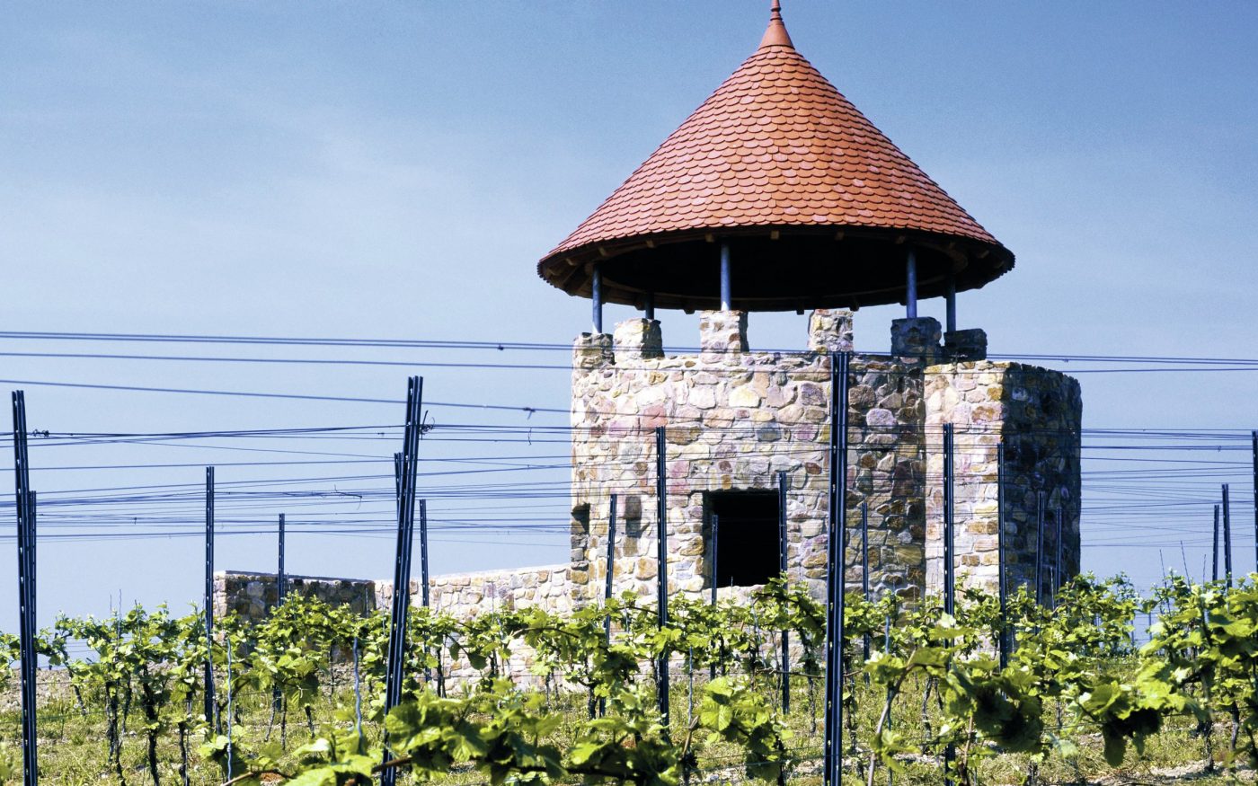 building with vineyard