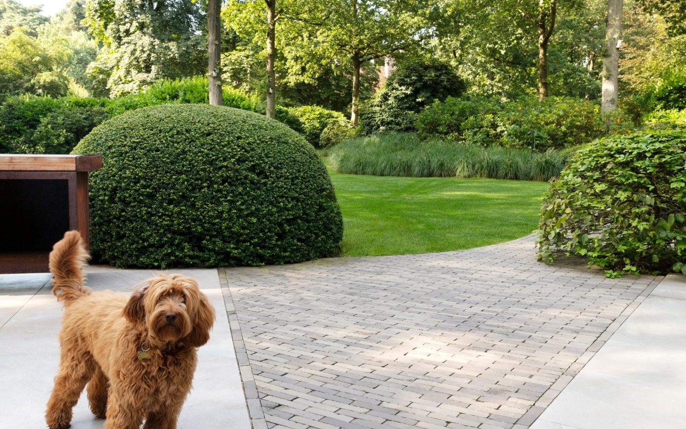 Private garden | Kapellen, België 