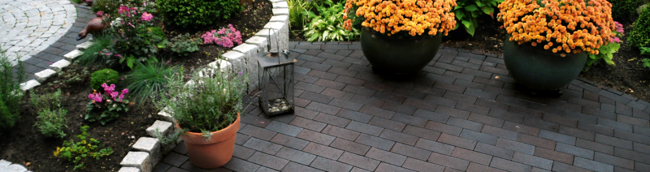 paver, penter, paving stone, terrace, garden, plant