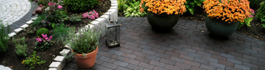 paver, penter, paving stone, terrace, garden, plant