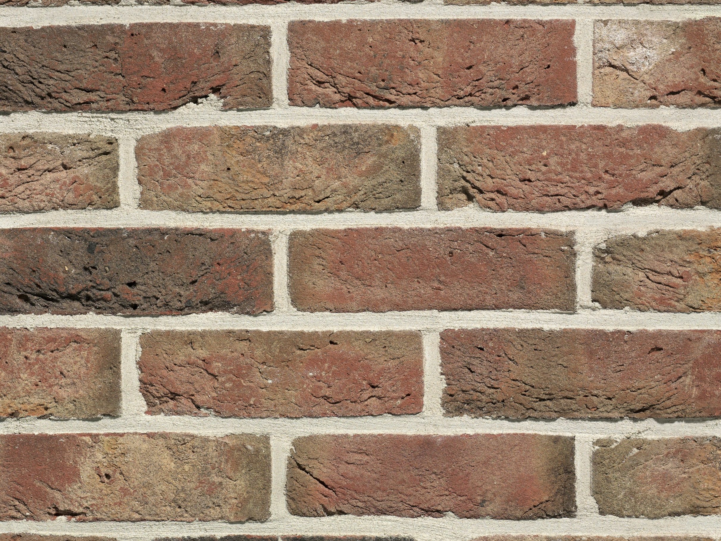 TERCA plytos, suformuotos iš plastiškos keraminės (molio) masės