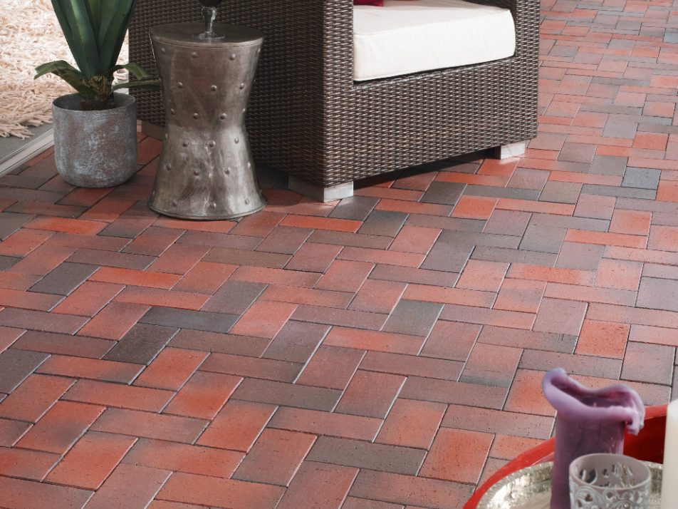 Didelė spalvų įvairovė